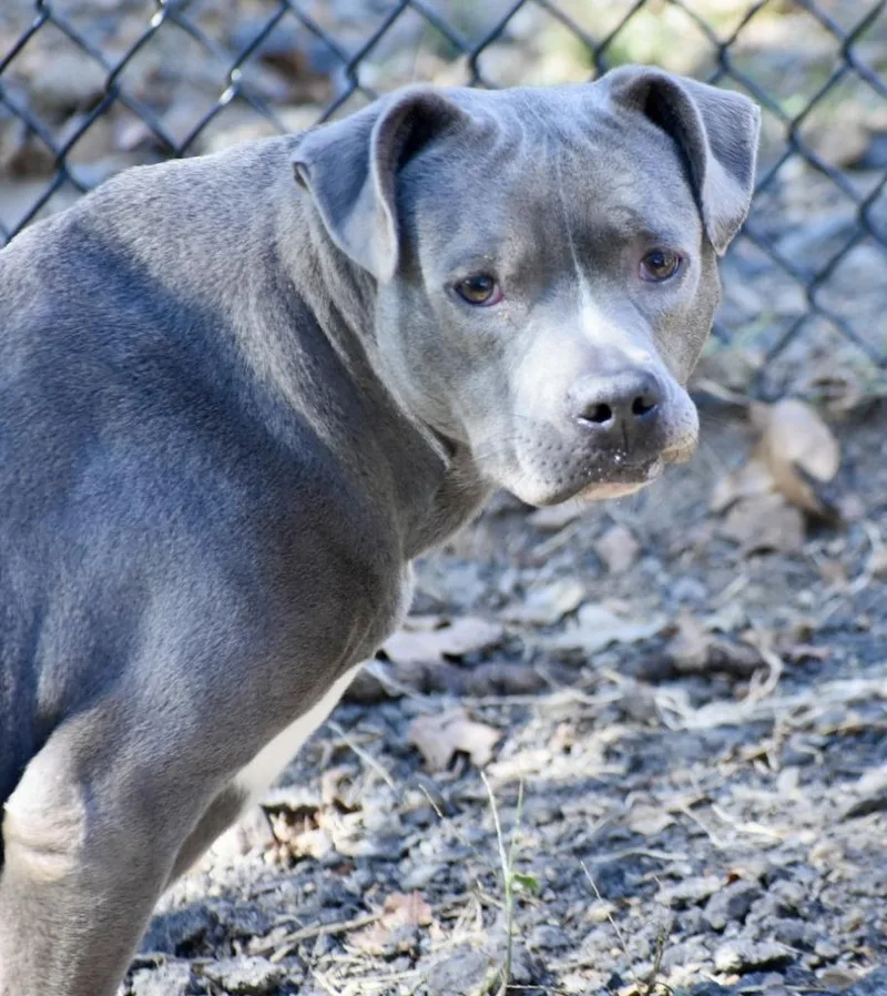 Michelle thumbnail 5