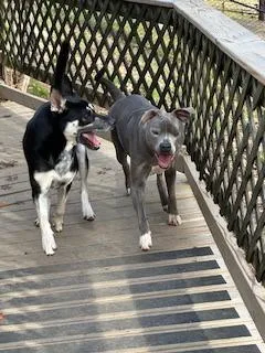 Michelle thumbnail 6