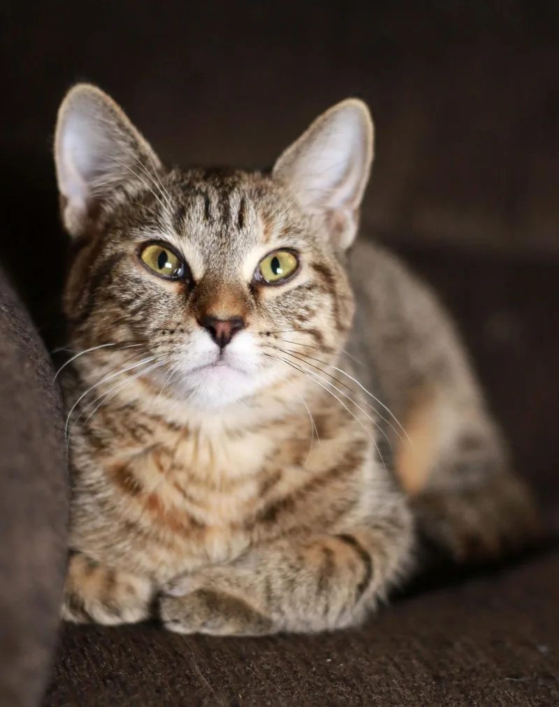 Mid ⭐️ thumbnail 2