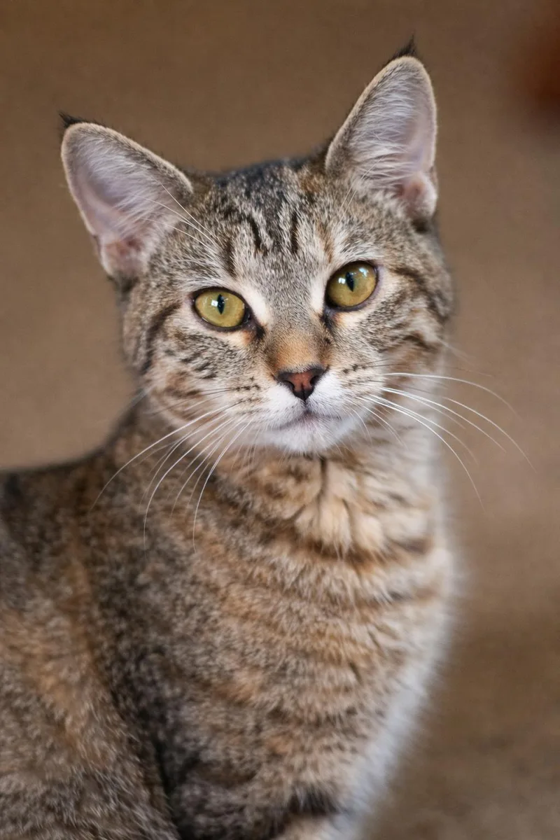 Mid ⭐️ thumbnail 3