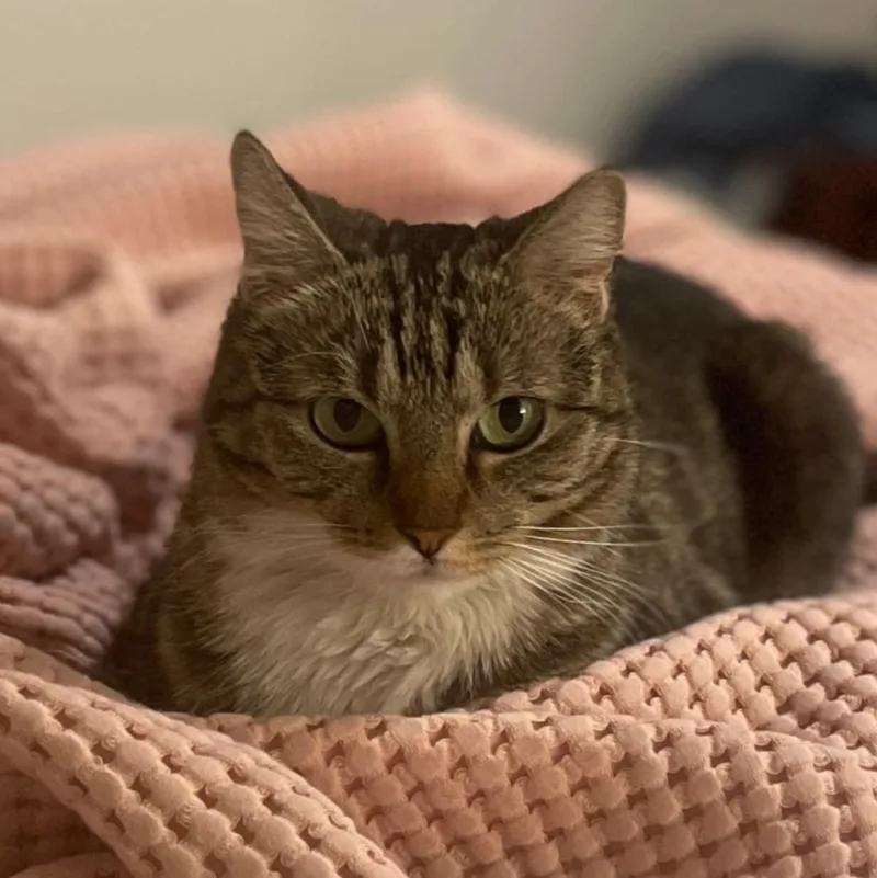 Bobbi Ann thumbnail 3