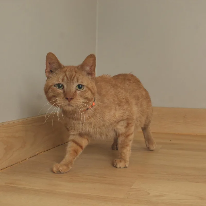 Murphy C thumbnail 2