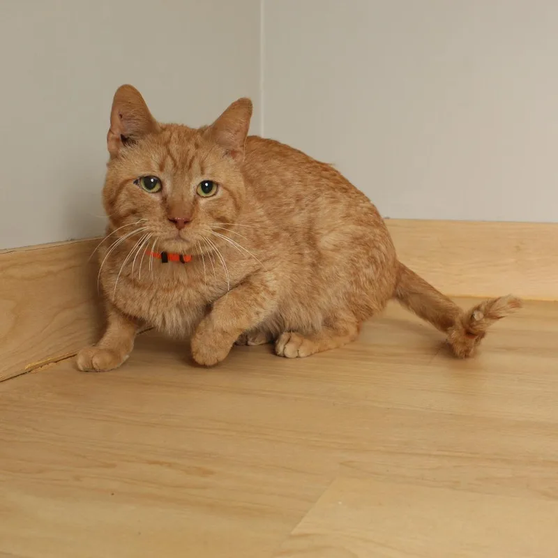 Murphy C thumbnail 6