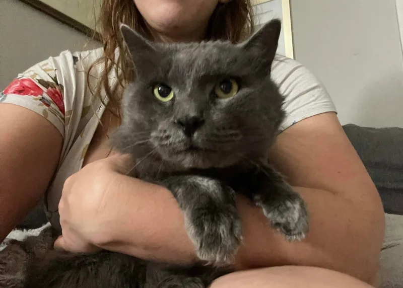 Falcor & Wolfie thumbnail 2