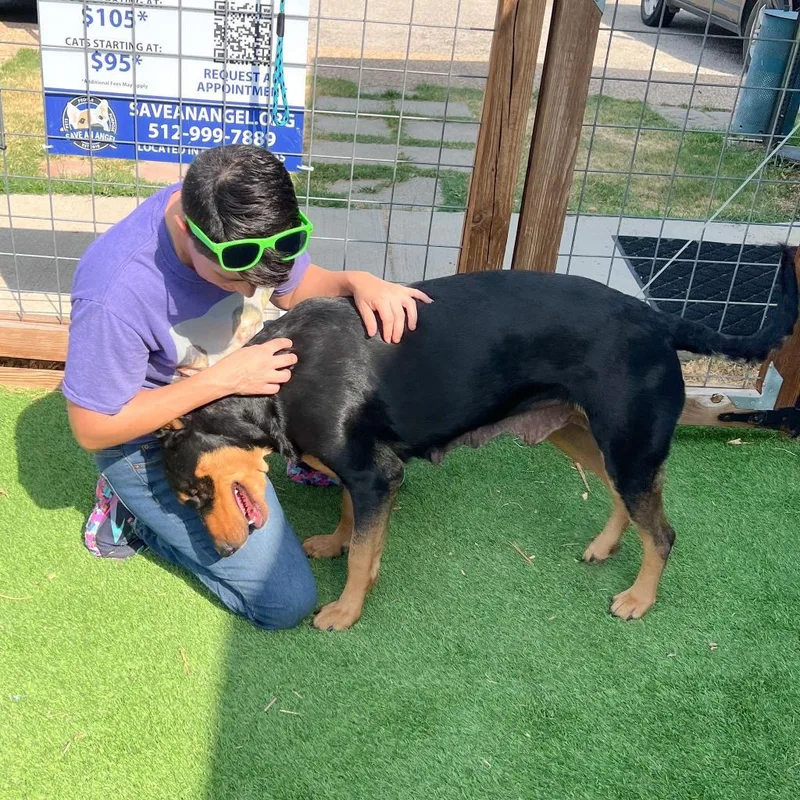 Belly Boo thumbnail 4