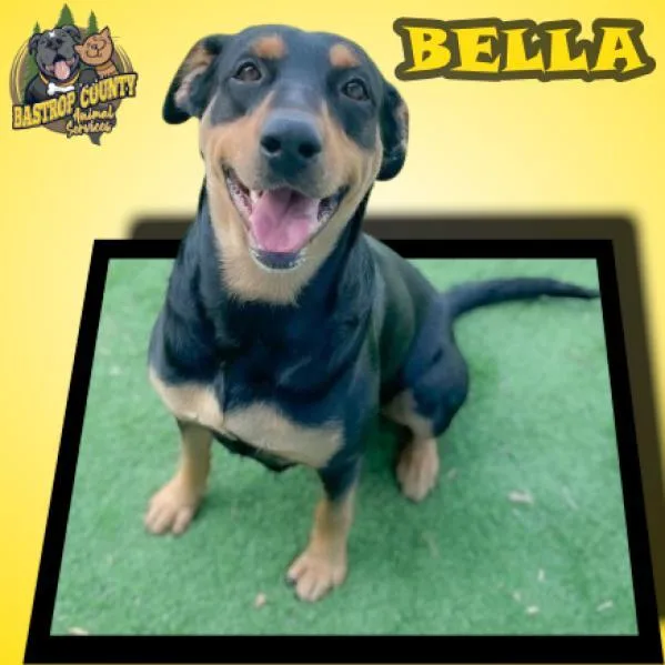 Belly Boo thumbnail 5