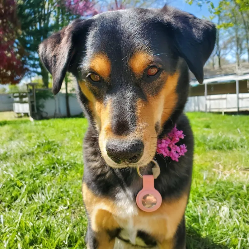 Lola thumbnail 2