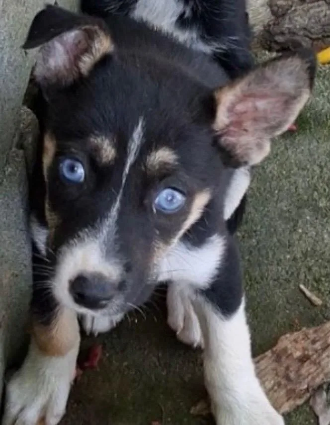 Bree thumbnail 2