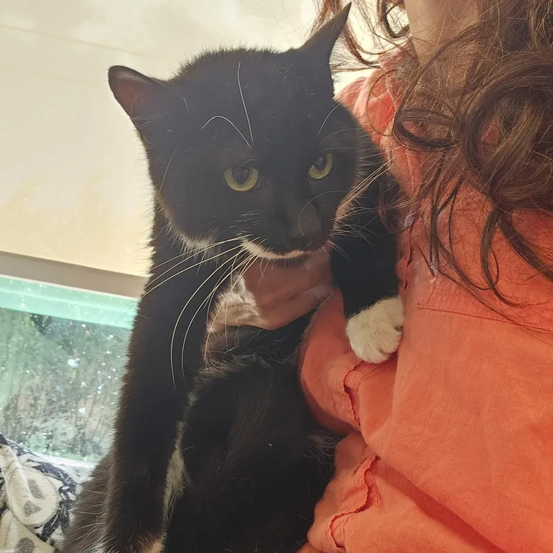 Charlie And Snowstorm thumbnail 3