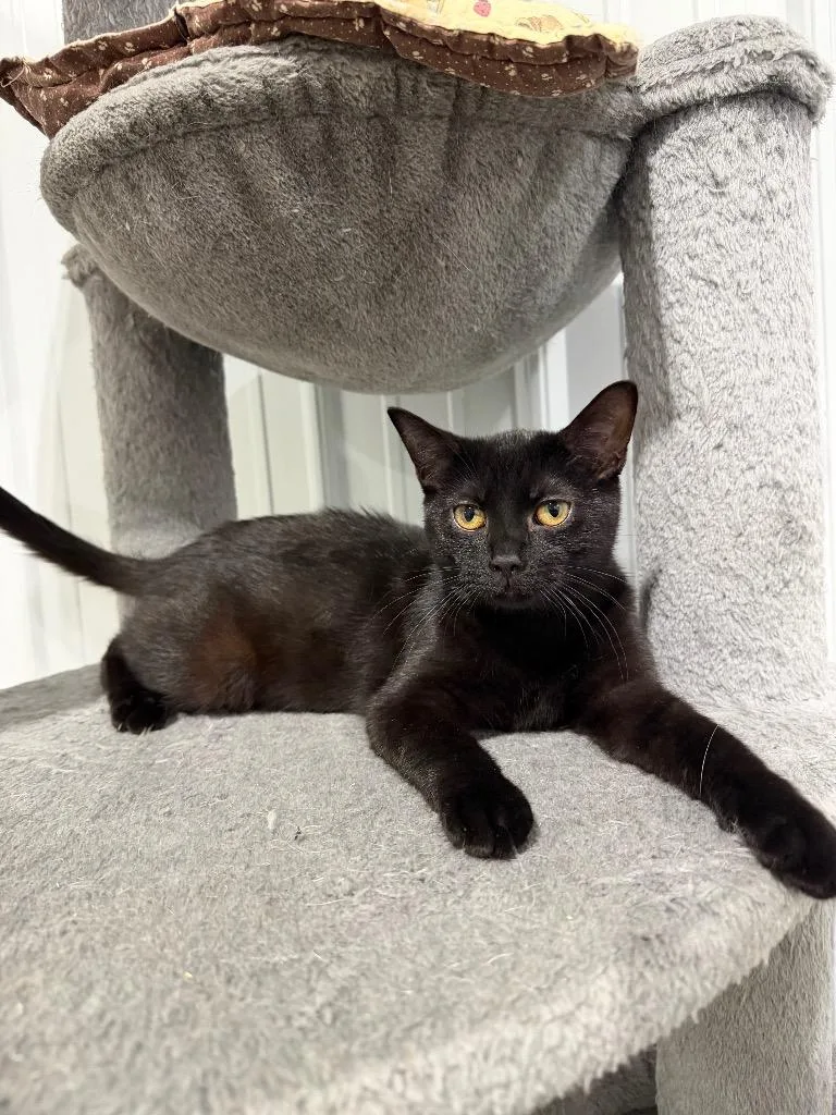 Francie Silo thumbnail 4