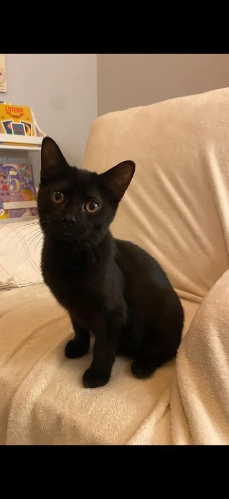 Francie Silo thumbnail 5