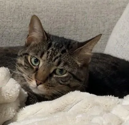 Leo