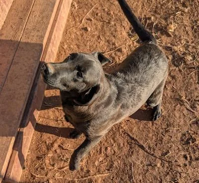 Espresso thumbnail 2