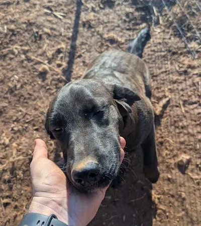 Espresso thumbnail 3