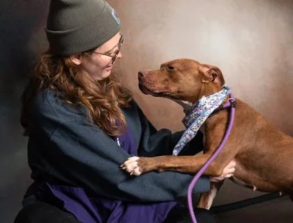 Gingersnap thumbnail 2