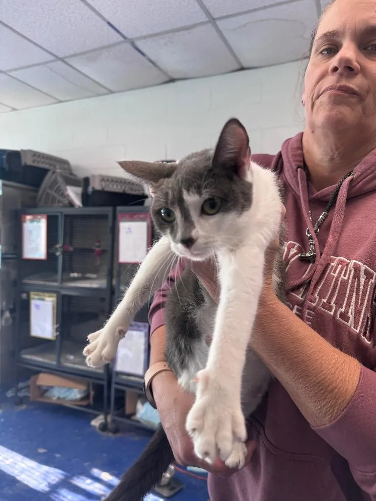 Mama Bella thumbnail 2