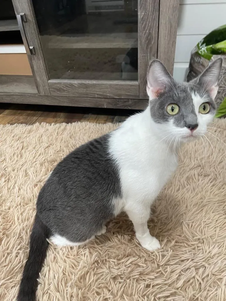 Mama Bella thumbnail 6