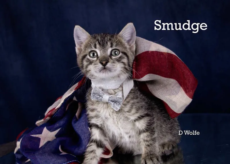 Smudge thumbnail 2