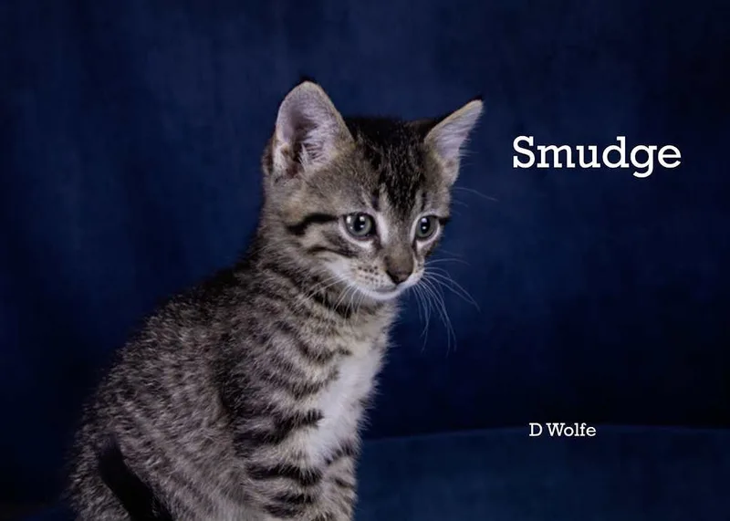 Smudge thumbnail 3
