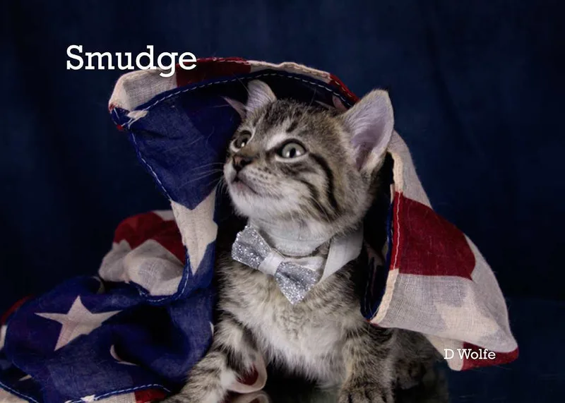 Smudge thumbnail 4