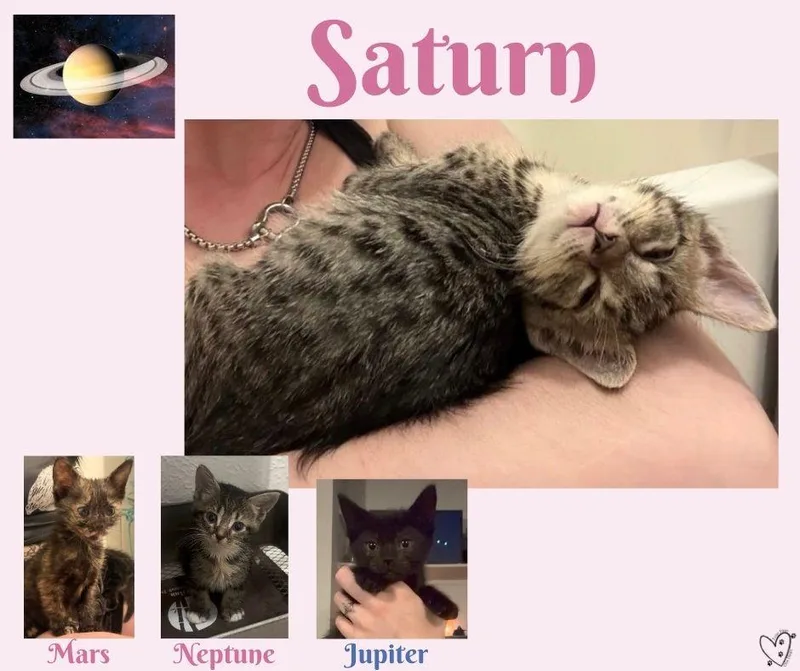 Saturn thumbnail 2