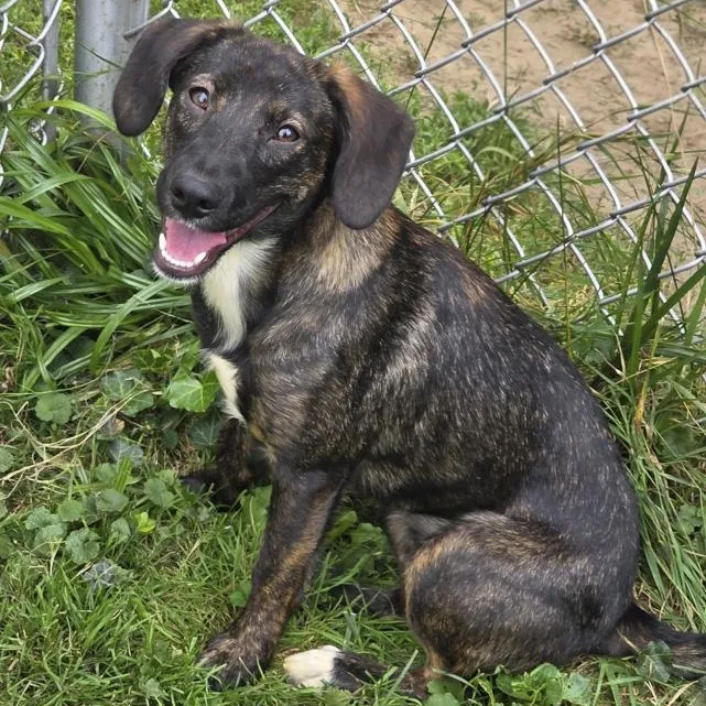 Ellie Mae thumbnail 2