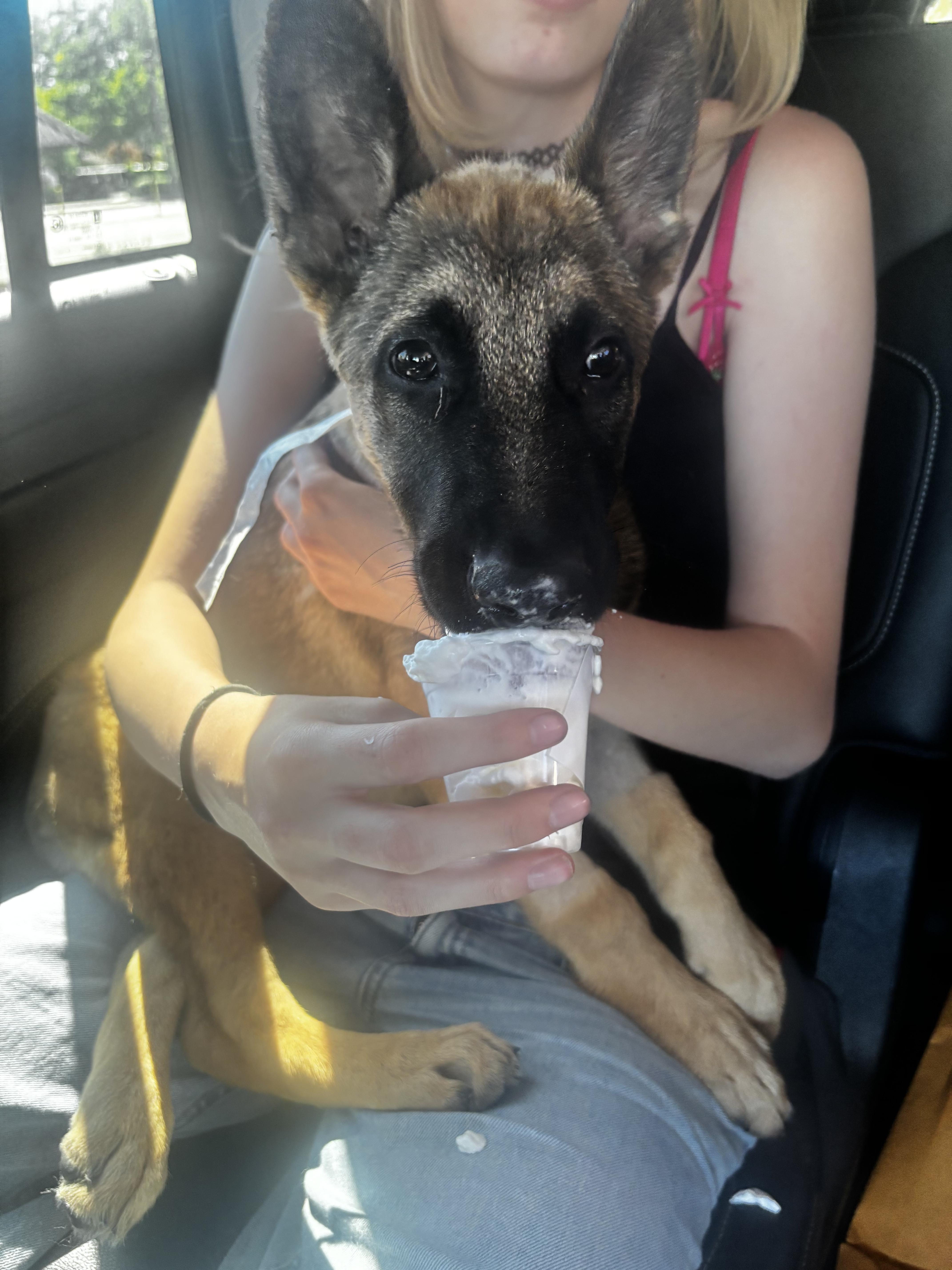 Kato thumbnail 2