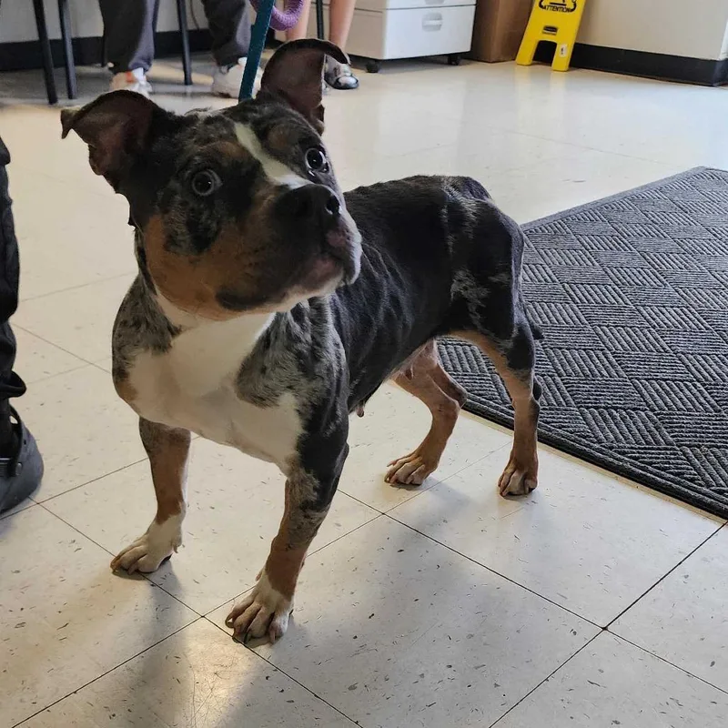 River Raft thumbnail 2