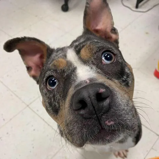 River Raft thumbnail 3