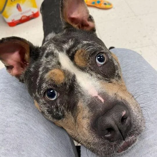 River Raft thumbnail 4