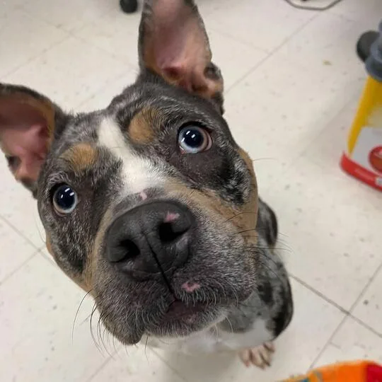 River Raft thumbnail 5