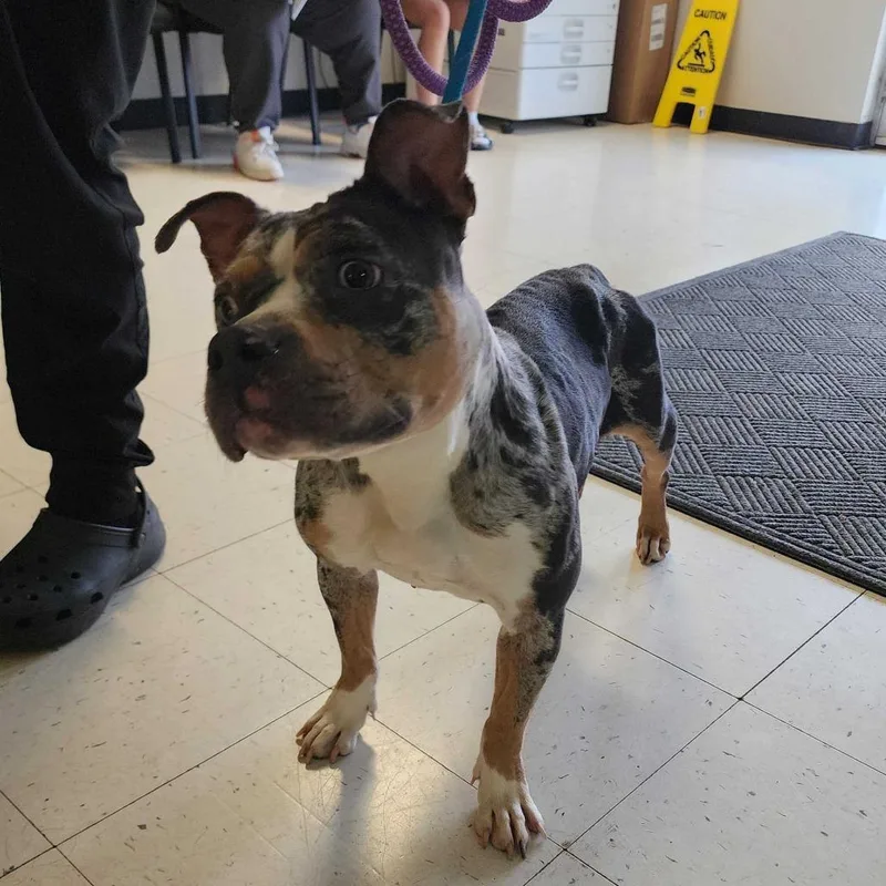 River Raft thumbnail 6