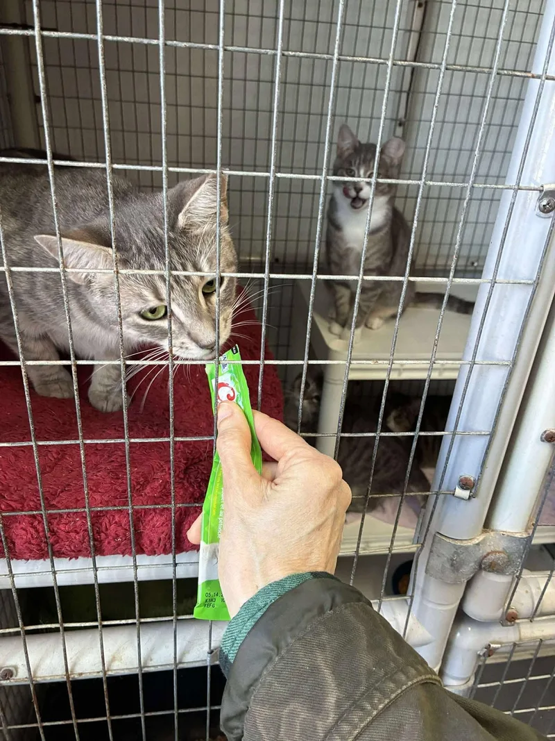 Parole & Oath thumbnail 2