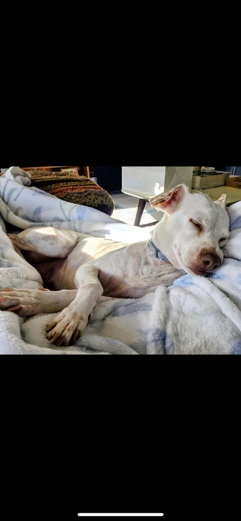 Sam thumbnail 6