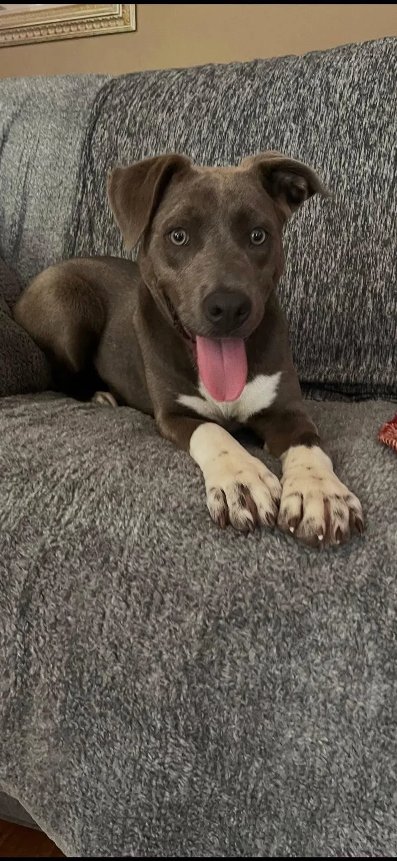 Princess Gracie Mae thumbnail 3