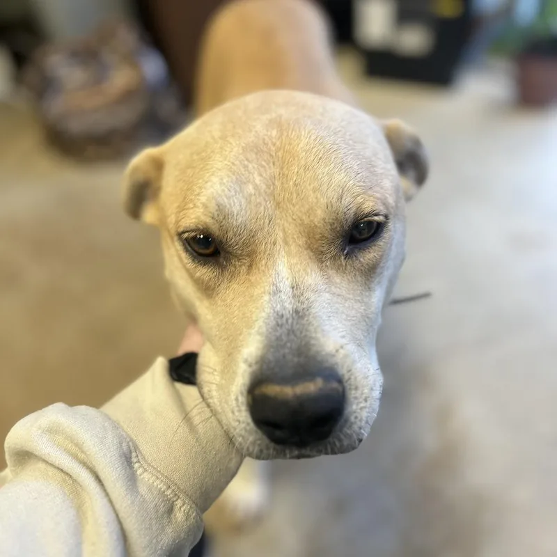 Debrah  T thumbnail 2