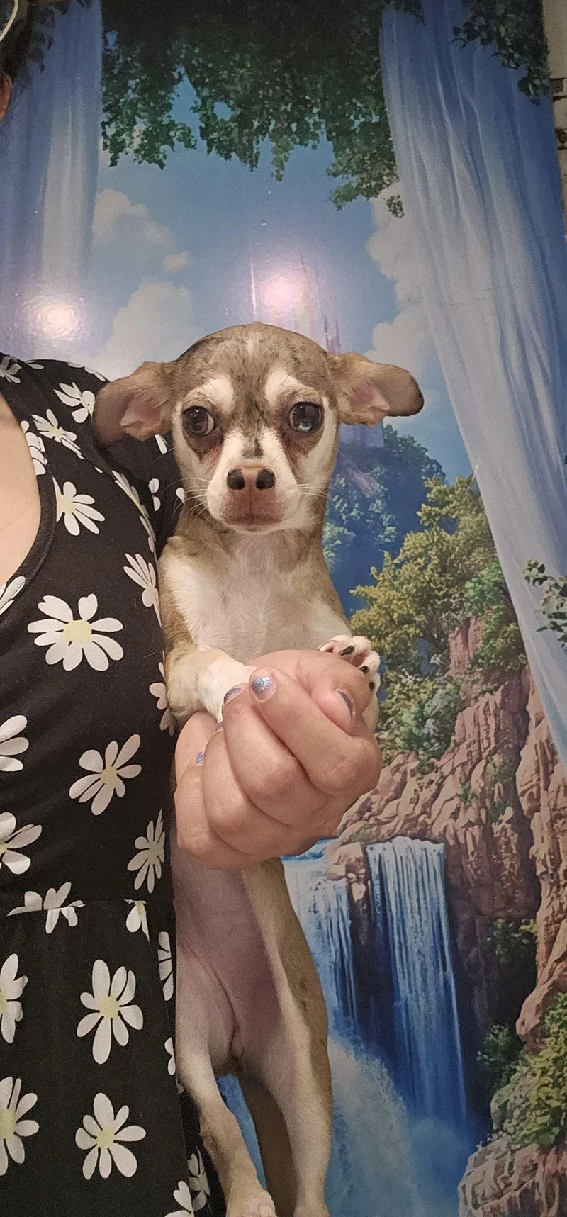Mia thumbnail 2