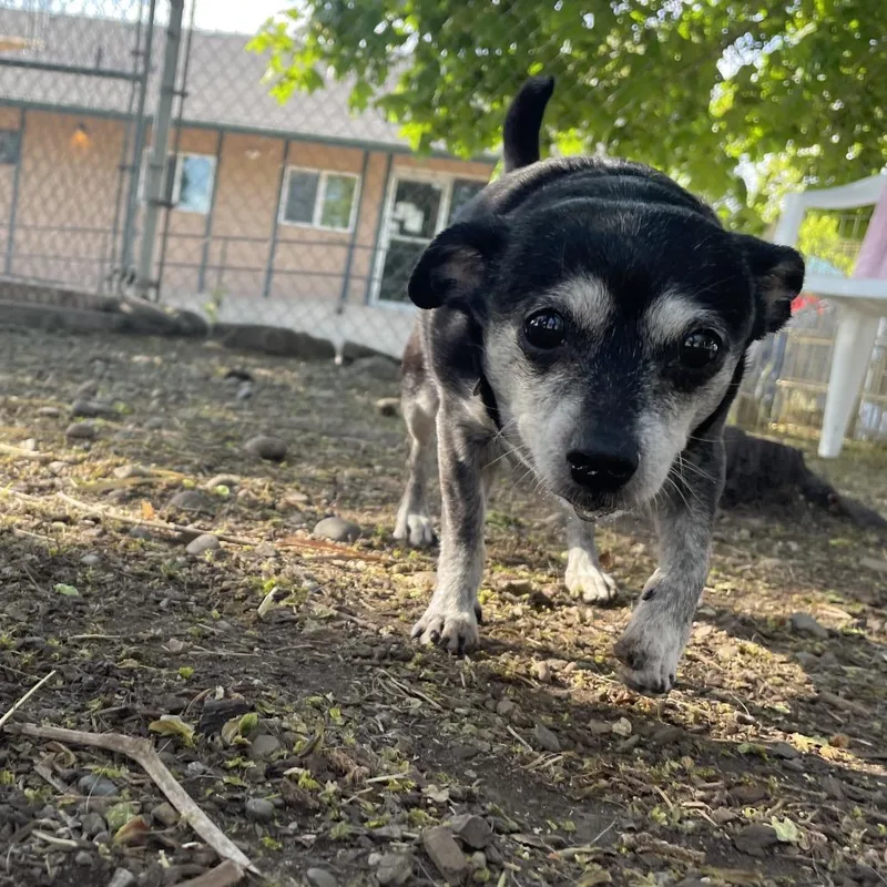 Lucy thumbnail 3