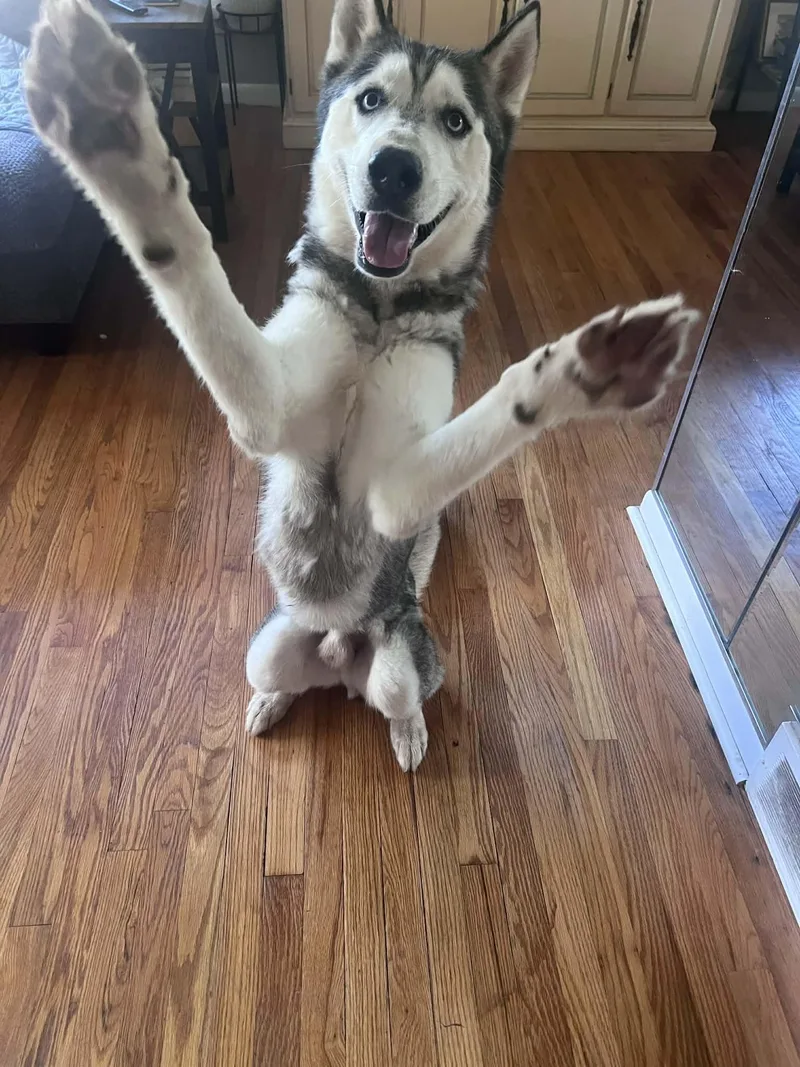 Freeze