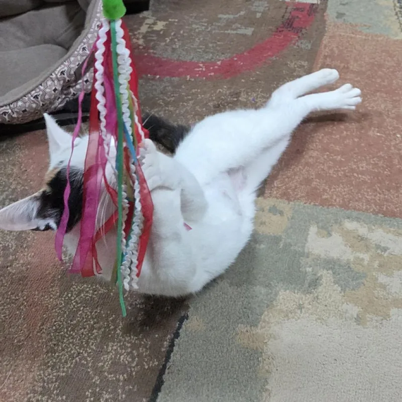 Pebbles thumbnail 5