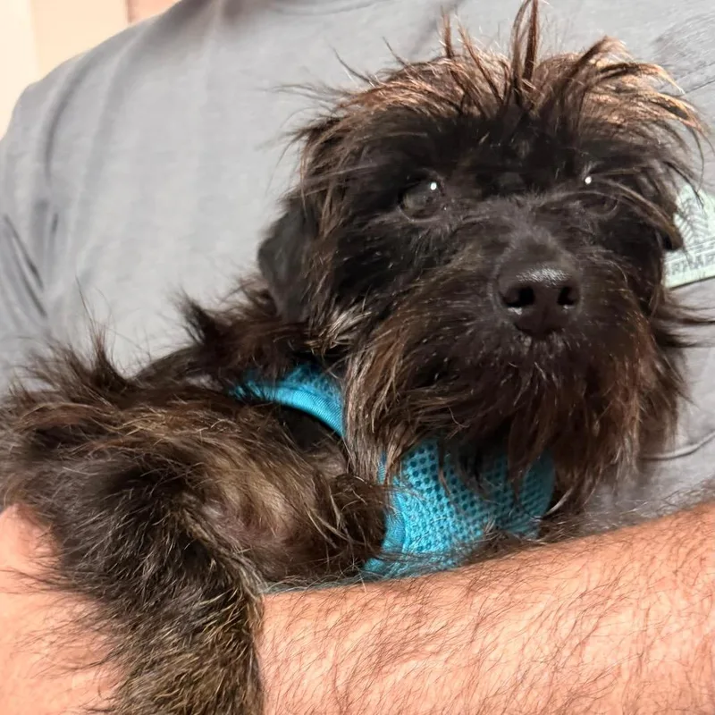 Wednesday thumbnail 2