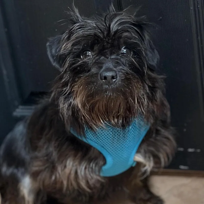 Wednesday thumbnail 3