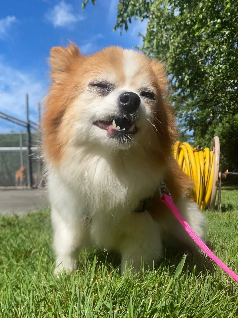 Mandy thumbnail 6