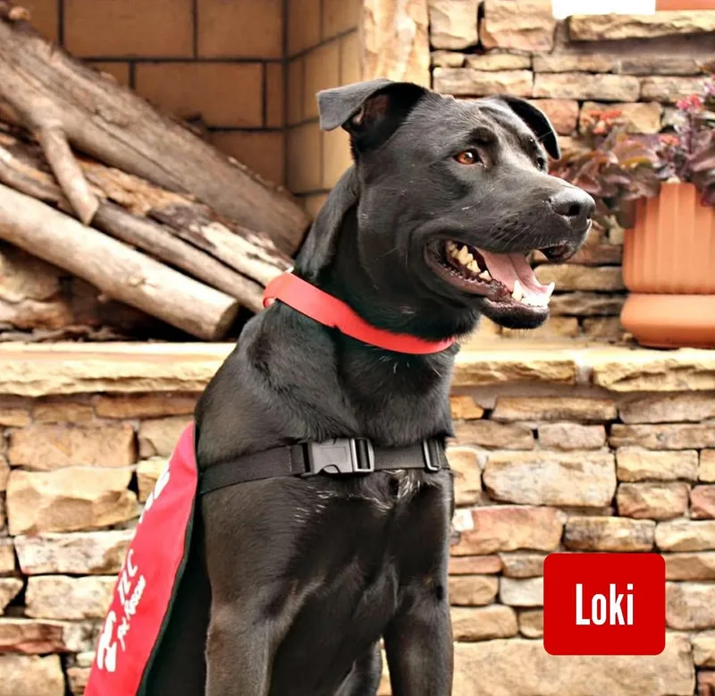 Loki thumbnail 2