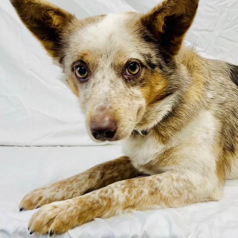 Freya May thumbnail 2