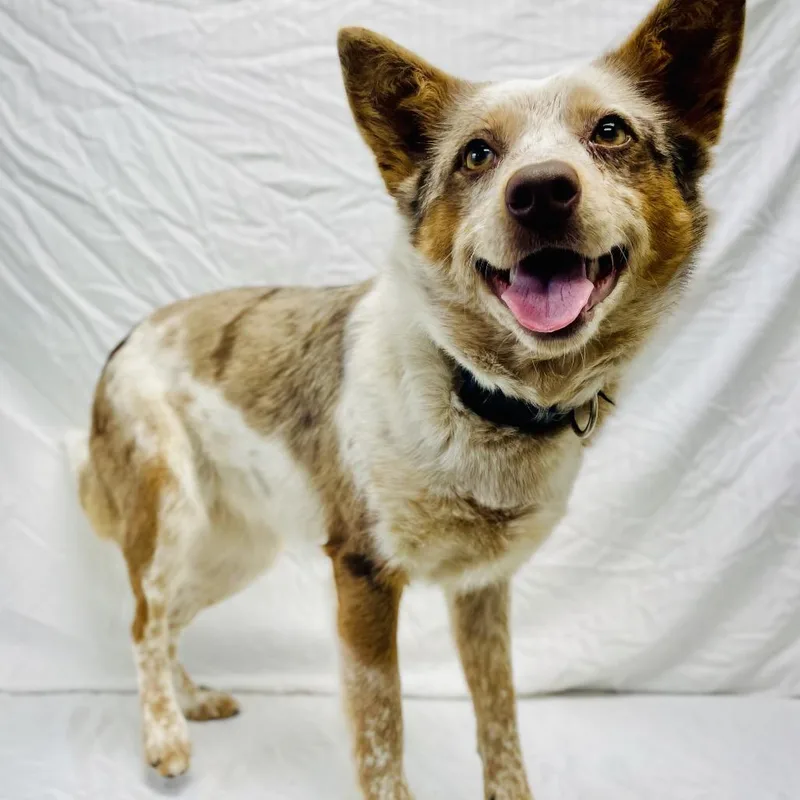 Freya May thumbnail 3