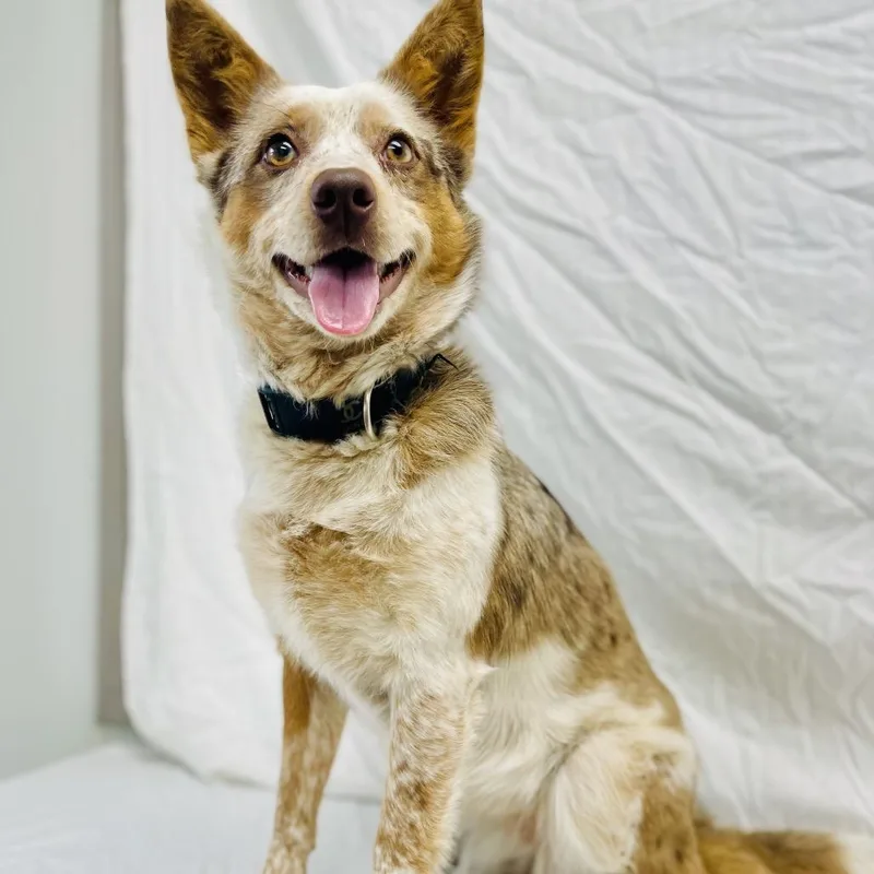 Freya May thumbnail 4