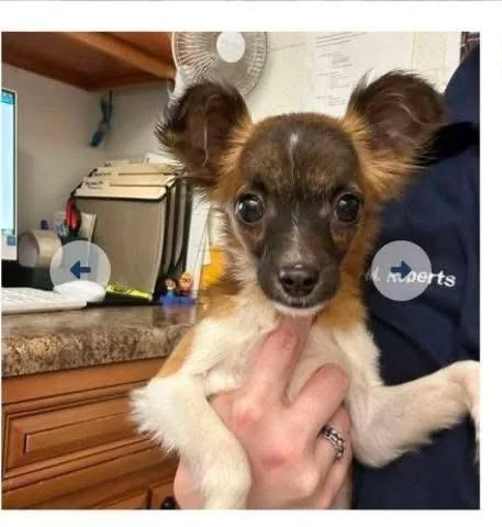 Juliette thumbnail 2