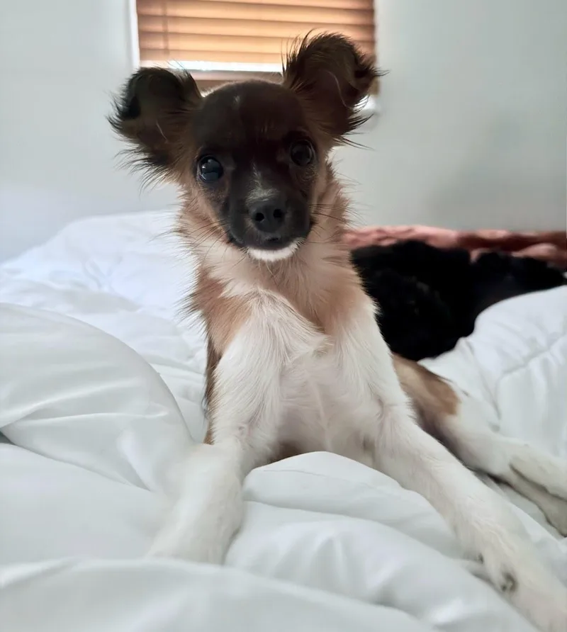 Juliette thumbnail 3