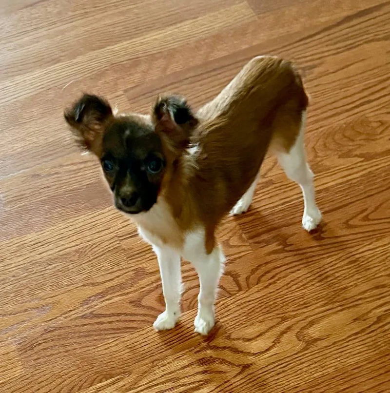 Juliette thumbnail 4